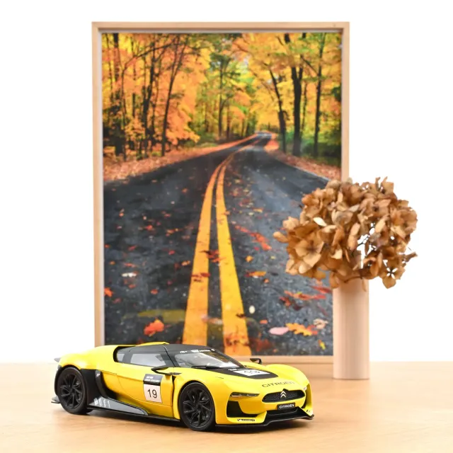 Norev GT by Citroën 2008 miniature 1/18 jaune concept 200pcs