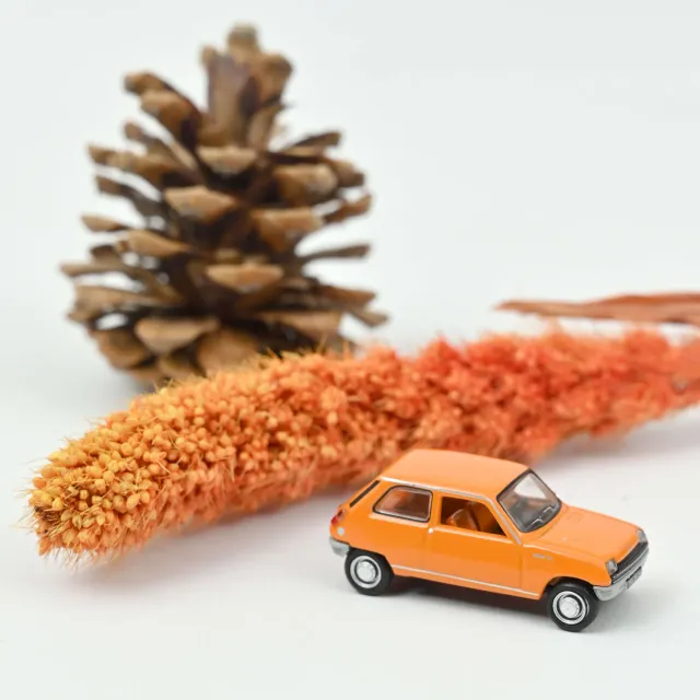 Norev Renault 5 TL 1972 Orange voiture miniature 1/87 ancienne
